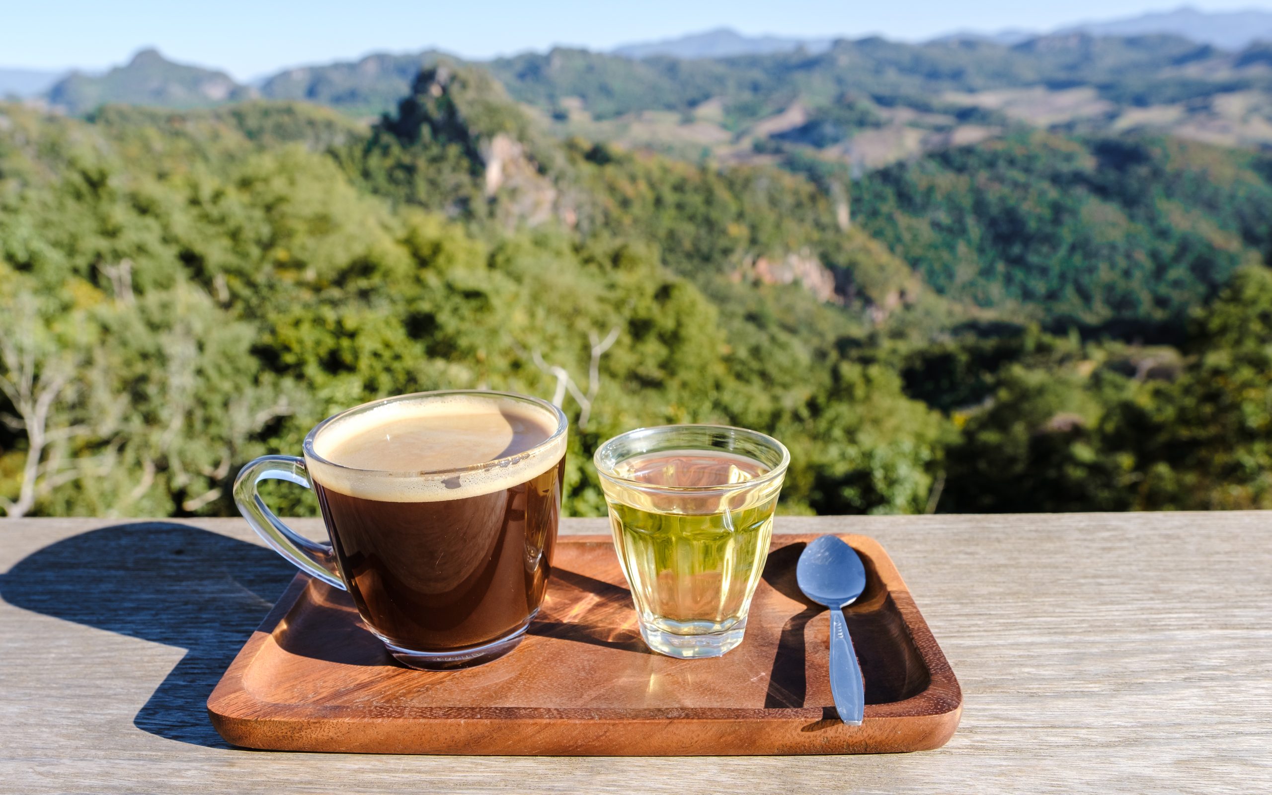 a cup of tea in the mountains of northern thailand 2025 01 08 04 10 45 utc scaled
